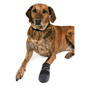 Ботинки для собак TRIXIE Walker Care Protective, 2 шт XXL (фото modal nav 5)