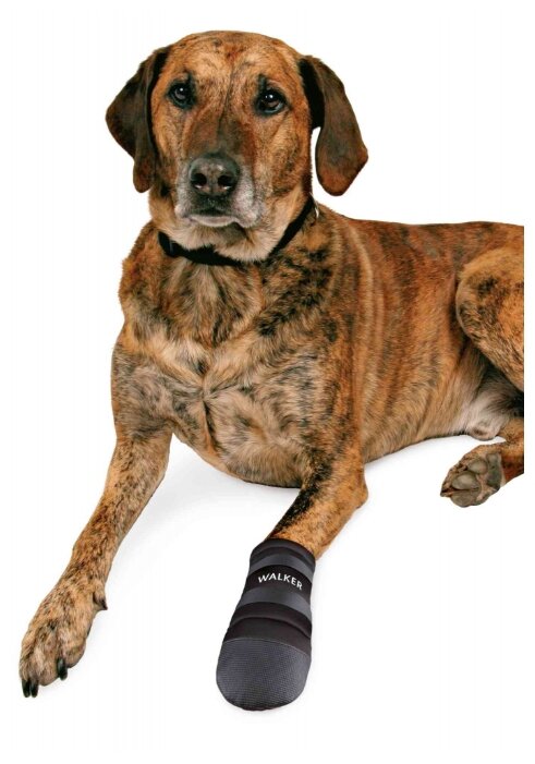 Ботинки для собак TRIXIE Walker Care Protective, 2 шт XXL (фото modal 5)