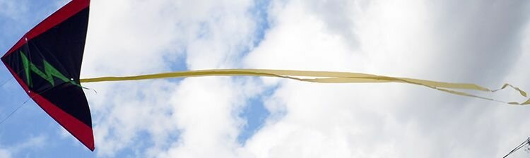 Воздушный змей Веселый ветер Яркая Молния (фото modal 4)