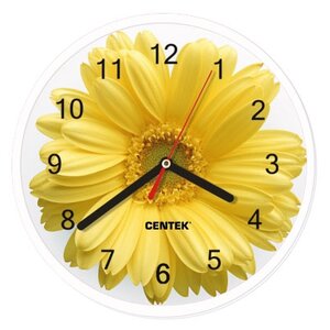 Часы настенные кварцевые CENTEK CT-7102 (фото modal nav 1)