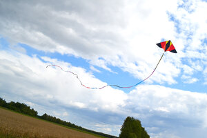 Воздушный змей Веселый ветер Цветной хвост (фото modal nav 2)