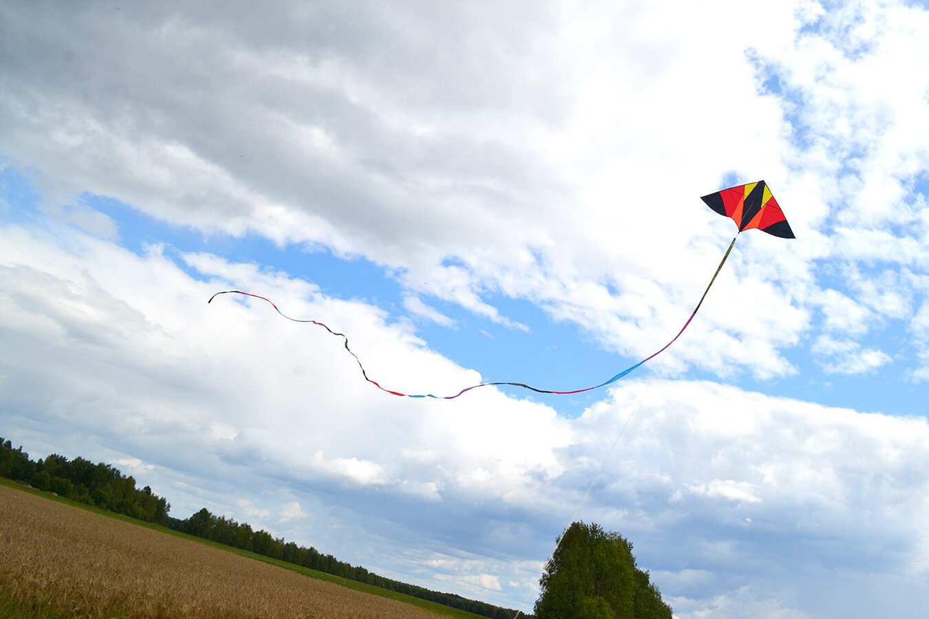 Воздушный змей Веселый ветер Цветной хвост (фото modal 2)