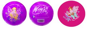 Мяч 1 TOY Winx 23 см. (фото modal nav 1)