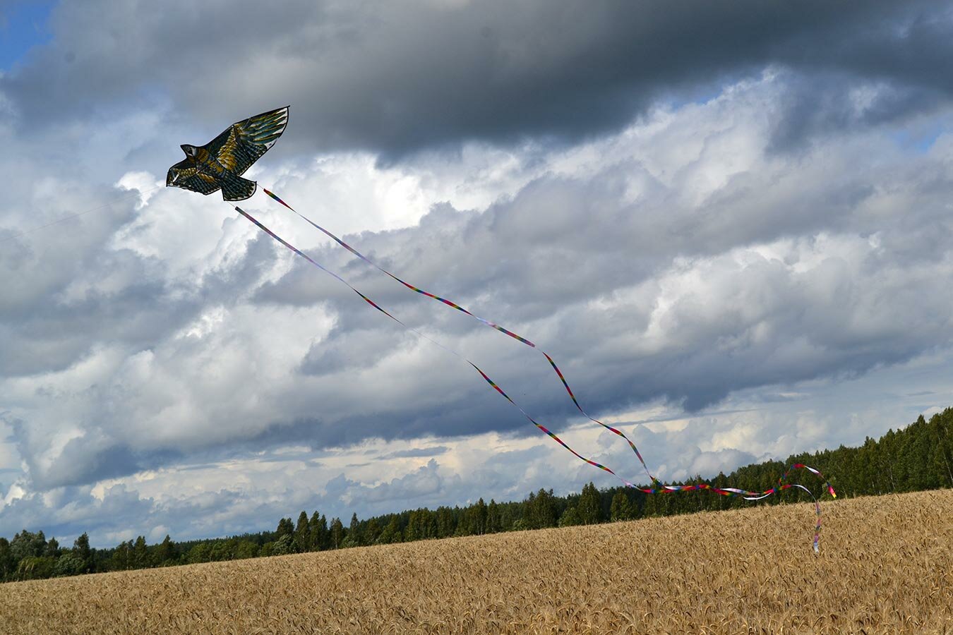 Воздушный змей Веселый ветер Золотой Чеглок (фото modal 6)
