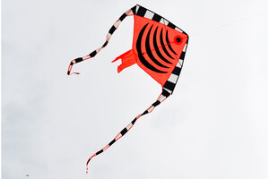 Воздушный змей Веселый ветер тропическая рыбка (фото modal nav 3)