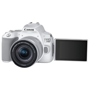 Фотоаппарат Canon EOS 250D Kit (фото modal nav 24)
