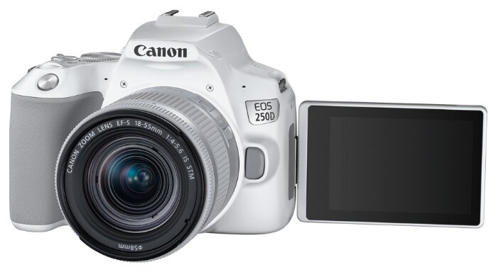 Фотоаппарат Canon EOS 250D Kit (фото modal 24)