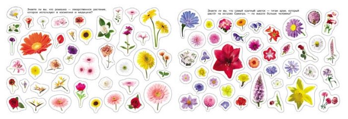 РОСМЭН Альбом наклеек Цветы и бабочки, 500 шт. ( 05933-2) (фото modal 2)
