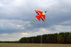 Воздушный змей Веселый ветер Реактивный Дасти (фото modal nav 2)