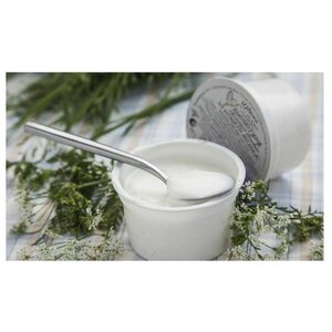 Йогурт Избёнка из козьего молока 3%, 100 г (фото modal nav 2)