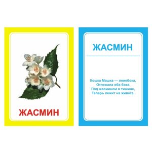 Набор карточек Вундеркинд с пелёнок Логопедка Ж 10x7 см 30 шт. (фото modal nav 4)