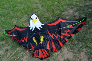 Воздушный змей Веселый ветер Имперский Орел (фото modal nav 5)