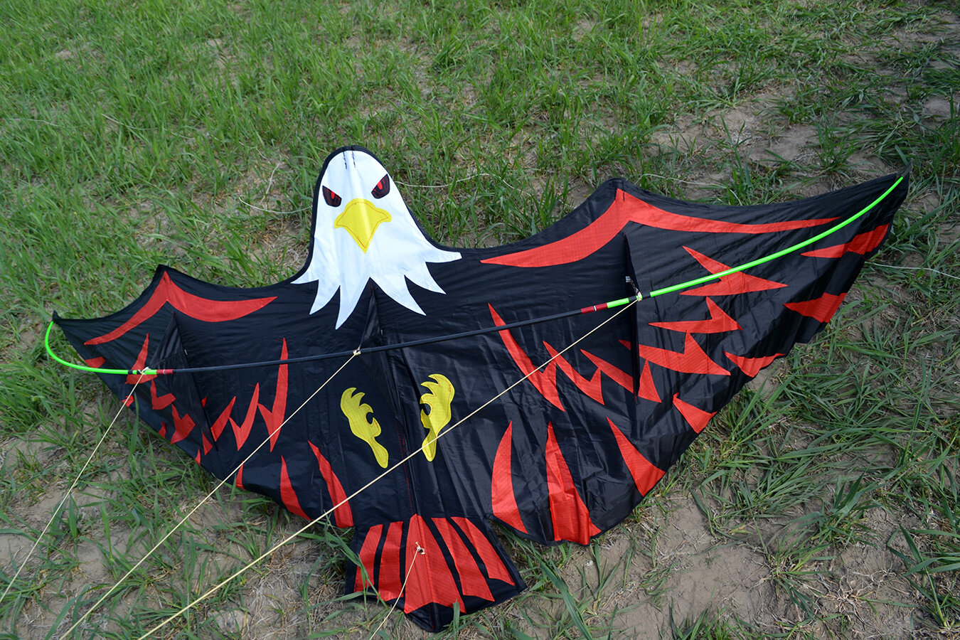 Воздушный змей Веселый ветер Имперский Орел (фото modal 5)
