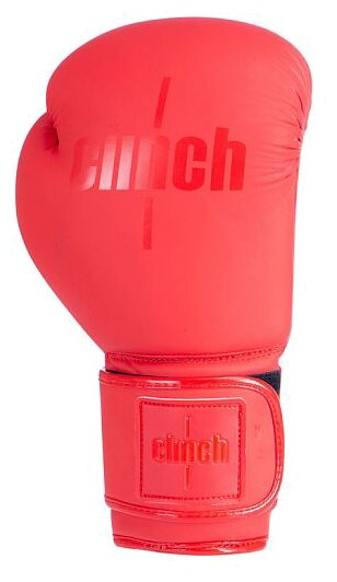 Боксерские перчатки Clinch Mist (фото modal 11)