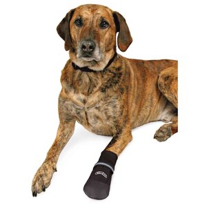 Ботинки для собак TRIXIE Walker Professional Care Comfort Protective 2 шт XXXL (фото modal nav 5)