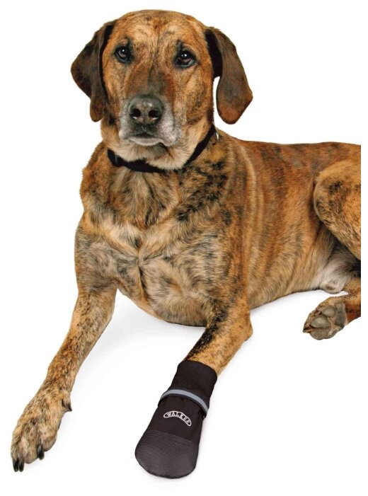 Ботинки для собак TRIXIE Walker Professional Care Comfort Protective 2 шт XXXL (фото modal 5)