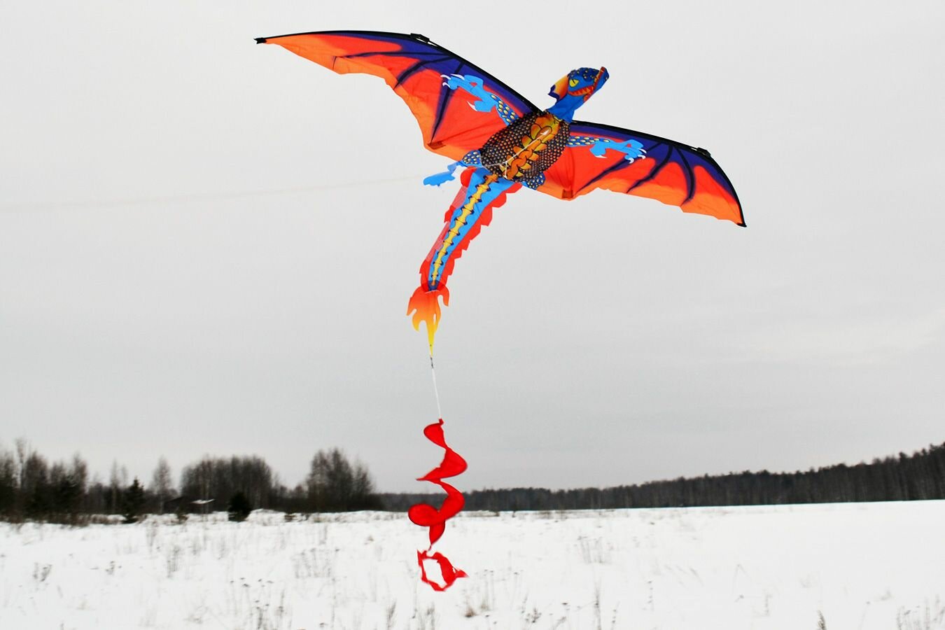 Воздушный змей Веселый ветер Птеродактиль (фото modal 5)