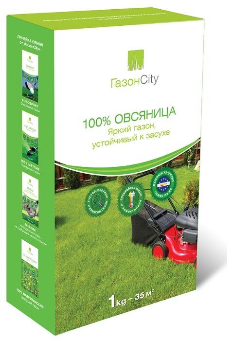 ГазонCity Овсяница 100% Яркий газон, 1 кг (фото modal 1)
