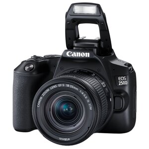 Фотоаппарат Canon EOS 250D Kit (фото modal nav 6)