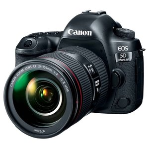 Зеркальный фотоаппарат Canon EOS 5D Mark IV Kit (фото modal nav 1)