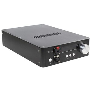 ЦАП Audio-GD NFB-10.33 (фото modal nav 2)