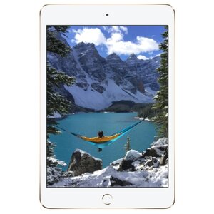 Планшет Apple iPad mini 4 128Gb Wi-Fi (фото modal nav 4)