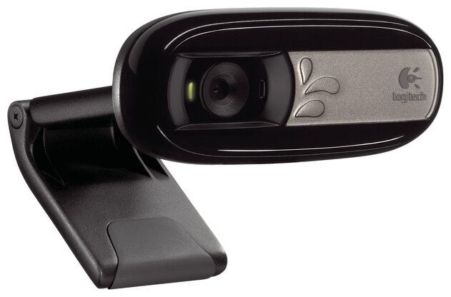 Веб-камера Logitech Webcam C170 (фото modal 2)