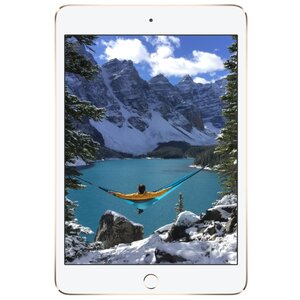 Планшет Apple iPad mini 4 128Gb Wi-Fi + Cellular (фото modal nav 4)