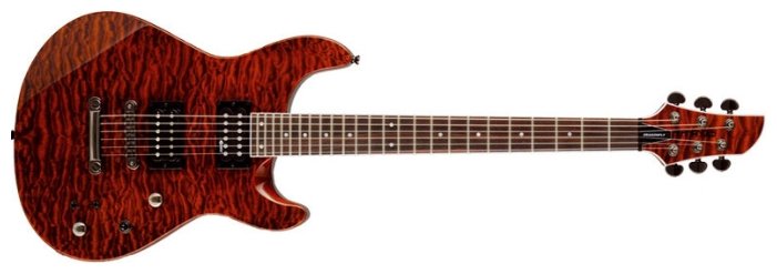 Электрогитара Fernandes Guitars Dragonfly Pro (фото modal 1)