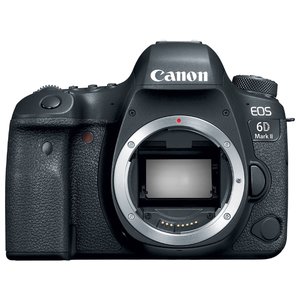 Зеркальный фотоаппарат Canon EOS 6D Mark II Body (фото modal nav 1)