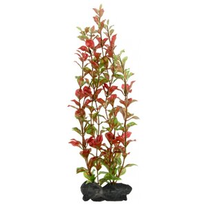 Искусственное растение Tetra Red Ludwigia L (фото modal nav 1)