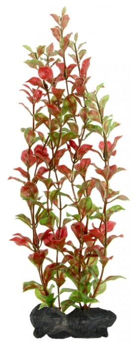 Искусственное растение Tetra Red Ludwigia L (фото modal 1)