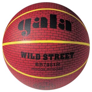 Баскетбольный мяч Gala Wild Street 7, р. 7 (фото modal nav 1)