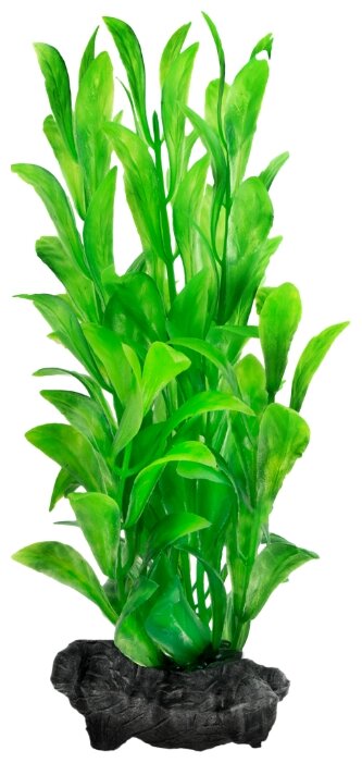 Искусственное растение Tetra Hygrophila S (фото modal 1)
