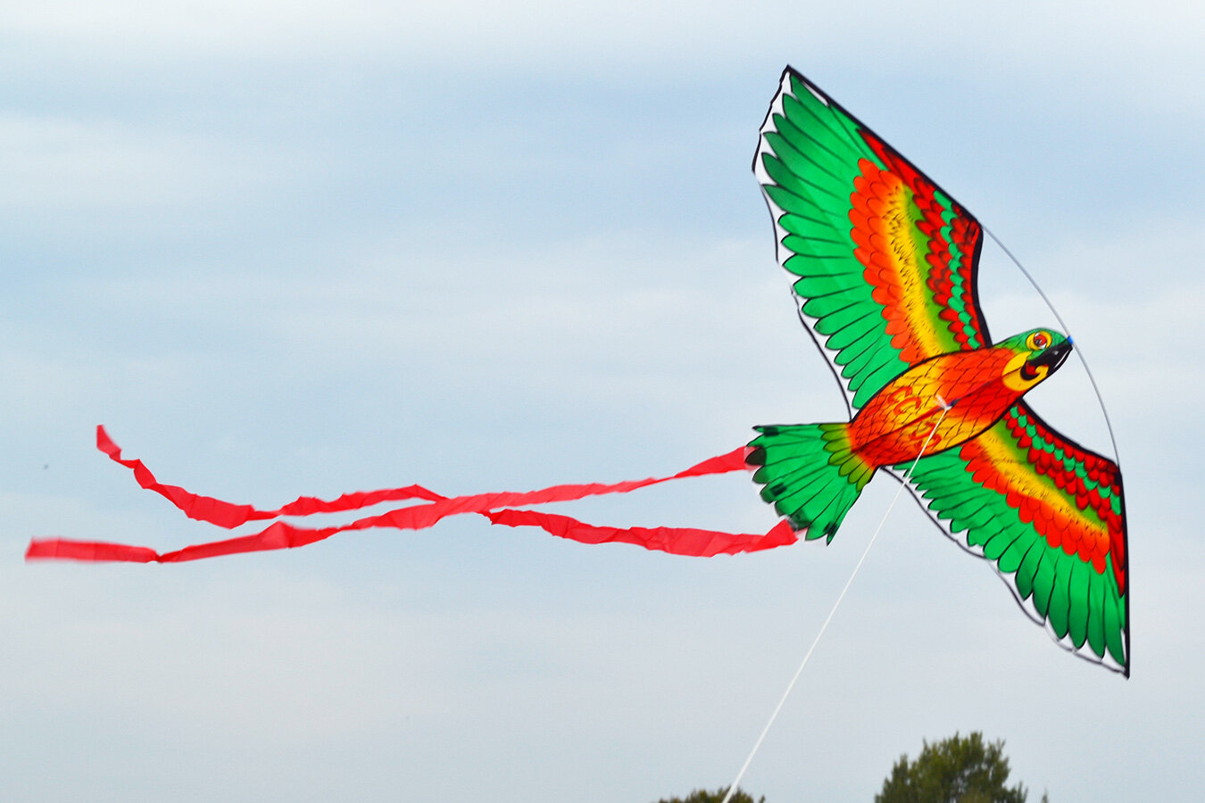 Воздушный змей Веселый ветер Попугай (фото modal 2)