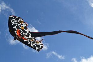 Воздушный змей Веселый ветер Скат (фото modal nav 3)