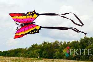 Воздушный змей Веселый ветер Аргус (фото modal nav 6)