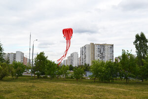 Воздушный змей Веселый ветер Осьминог (фото modal nav 4)