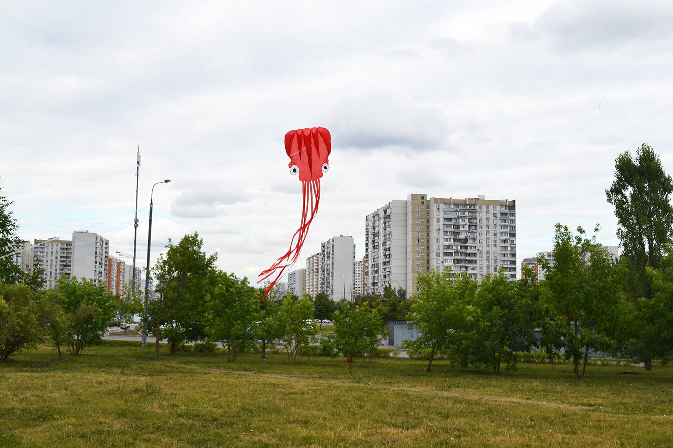 Воздушный змей Веселый ветер Осьминог (фото modal 4)
