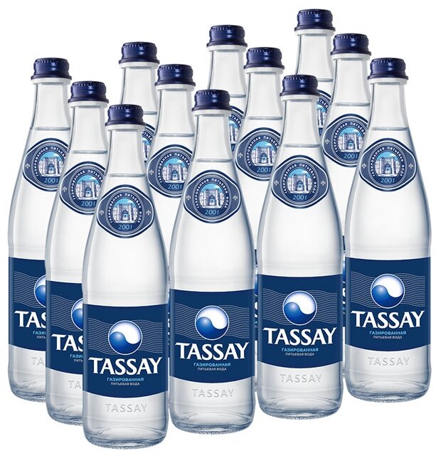 Вода питьевая TASSAY газированная, стекло (фото modal 1)