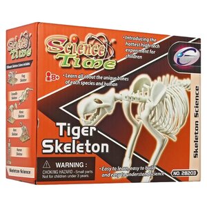 Набор Eastcolight Science Time Скелет тигра (фото modal nav 1)