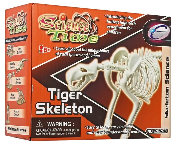 Набор Eastcolight Science Time Скелет тигра (фото modal 1)