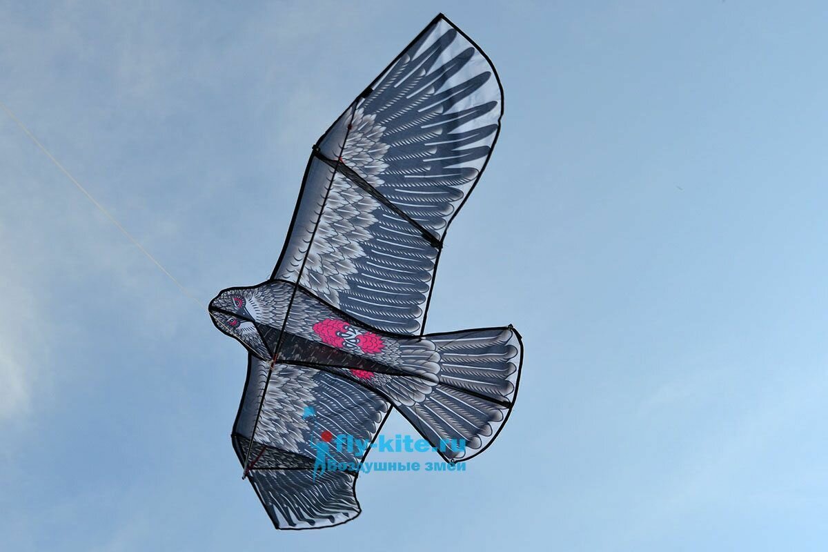 Воздушный змей Веселый ветер Ястреб (фото modal 3)