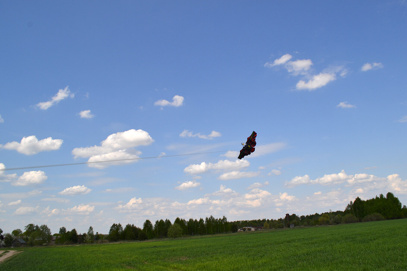 Воздушный змей Веселый ветер Имперский Орел (фото modal 3)