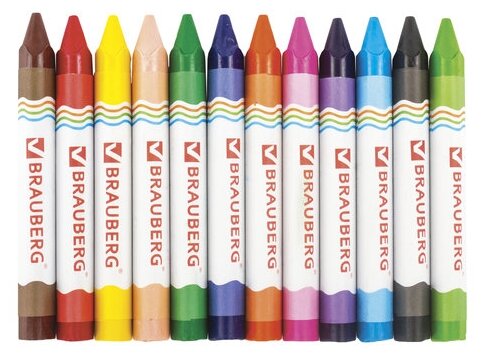 BRAUBERG Восковые карандаши утолщенные Академия 12 цветов (фото modal 2)