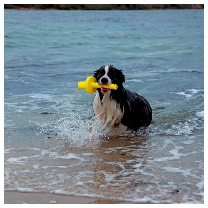 Игрушка для собак TRIXIE Mot-Aqua (32331) (фото modal 4)