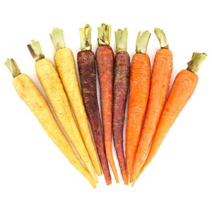 AgriLink Морковь мини разноцветная с зеленью (фото modal nav 1)