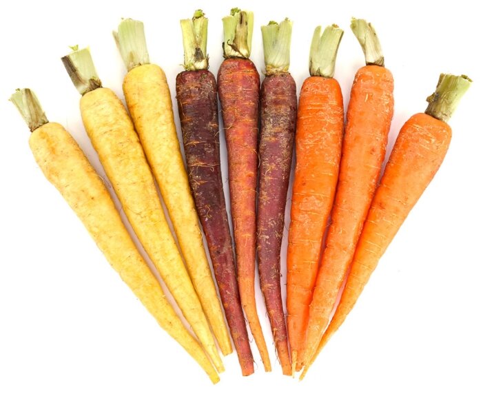 AgriLink Морковь мини разноцветная с зеленью (фото modal 1)