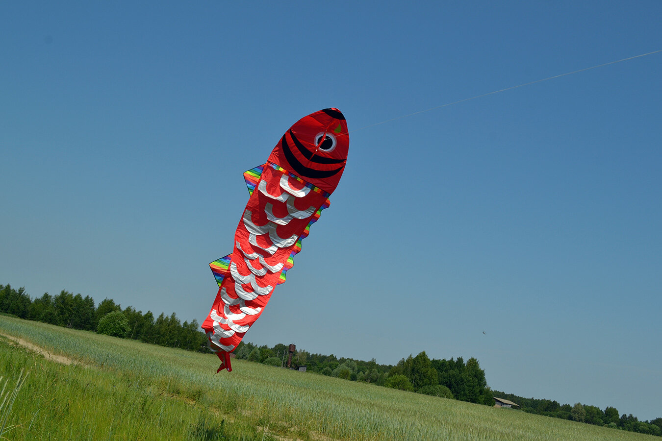 Воздушный змей Веселый ветер Зеркальный карп (фото modal 2)