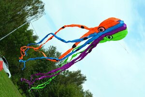 Воздушный змей Веселый ветер Цветной Кальмар 8-и (фото modal nav 3)